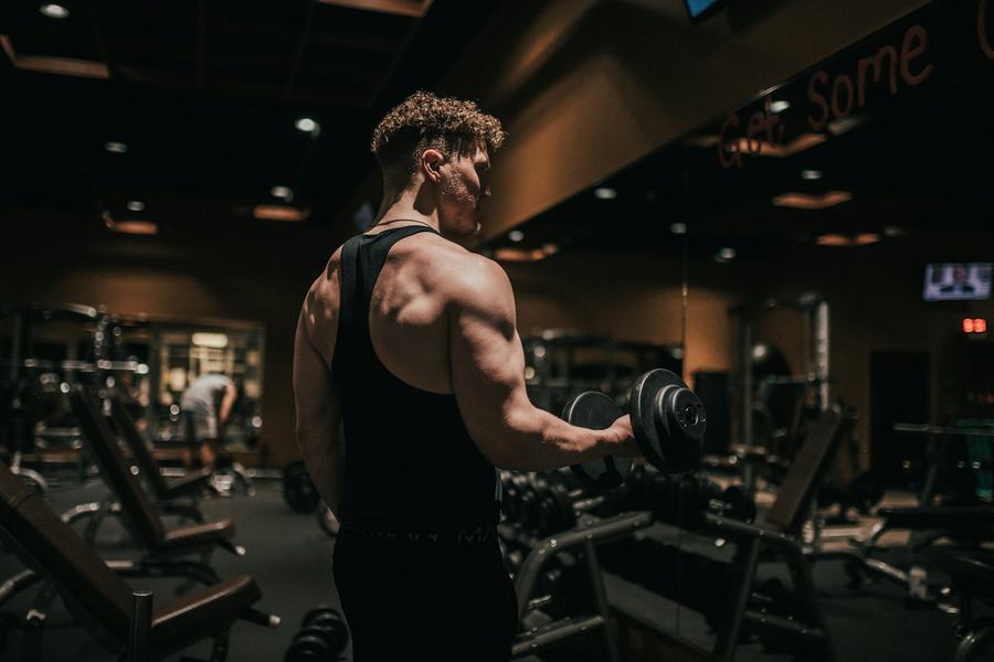 Musculation & bodybuilding